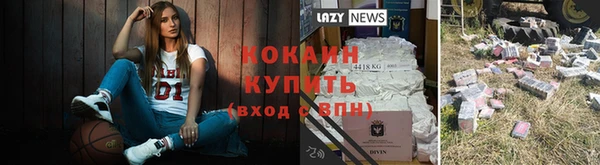 твердый Бронницы