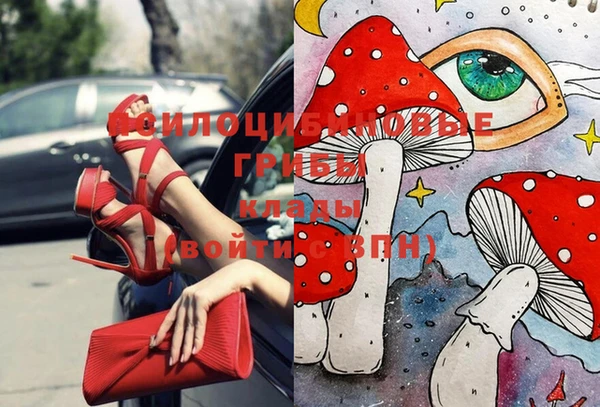 гидропоника Богданович