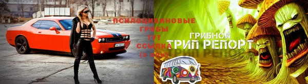 гидропоника Богданович