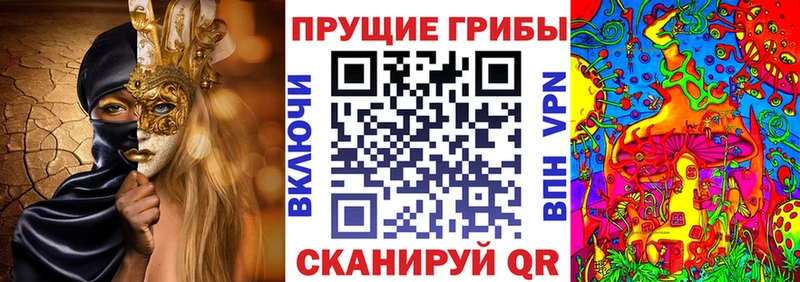 как найти   кракен онион  Галлюциногенные грибы мухоморы  Моздок 