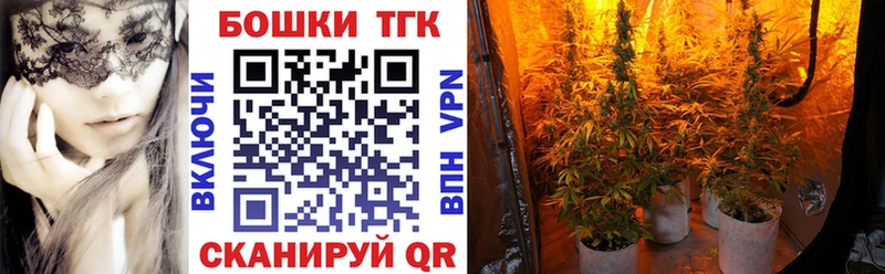Бошки Шишки гибрид  как найти наркотики  Моздок 